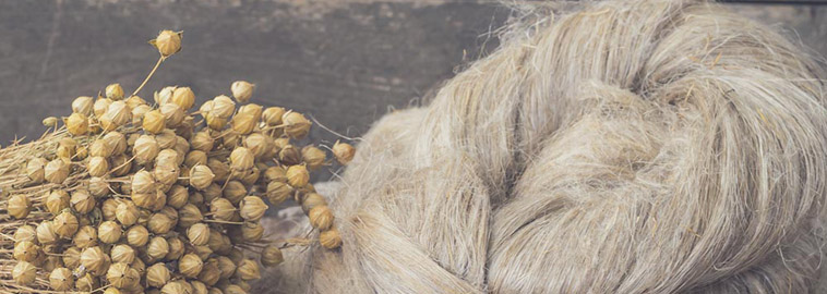 El ecologismo está de moda